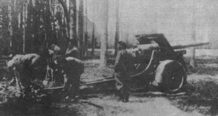 Polish 120mm wz.1878/09/31 gun